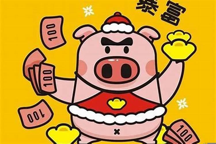 属猪的住十二楼好吗