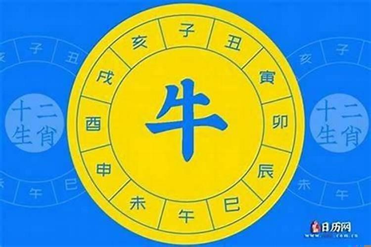 1984年十月十五是什么命