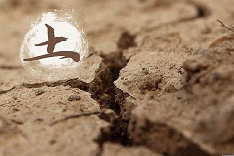 戊申大驿土命详解