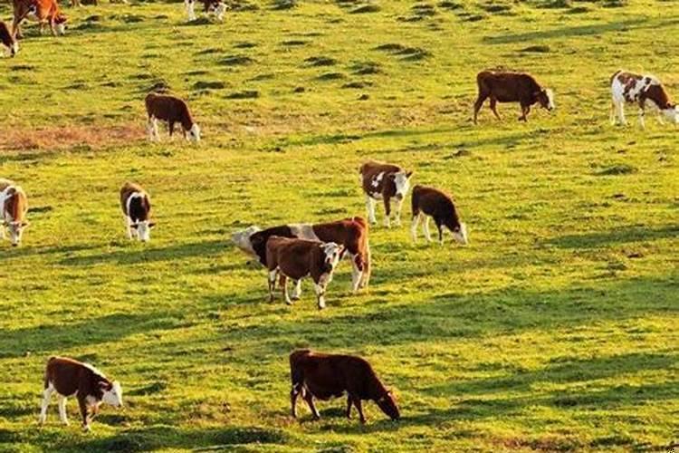 巨蟹座到底有多渣