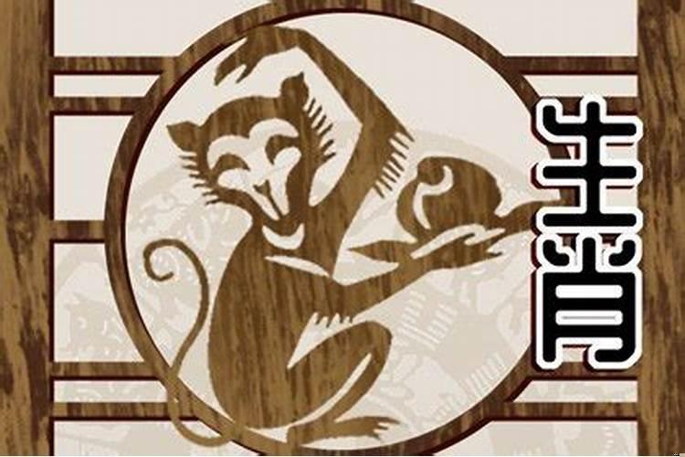 属猴生什么宝宝好