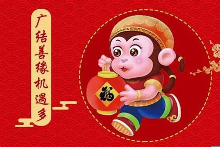 男属兔和什么属相最配相配吗