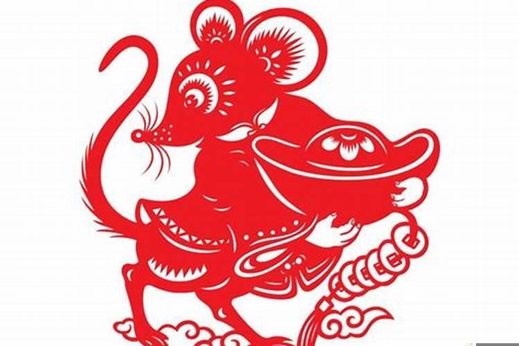 老鼠女与兔子男属相配吗