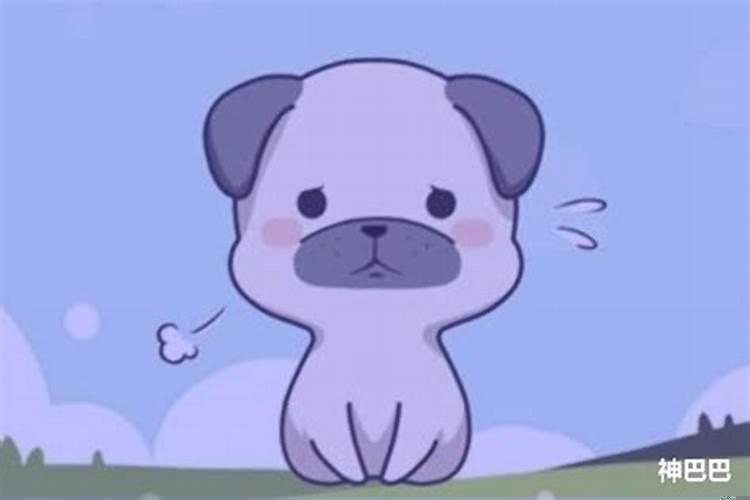 属狗的幸运颜色是什么颜色