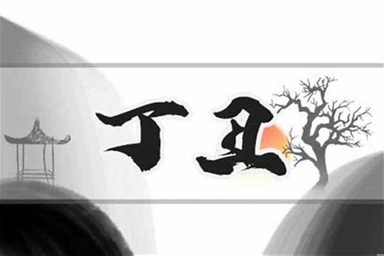 1973年是丁丑年吗