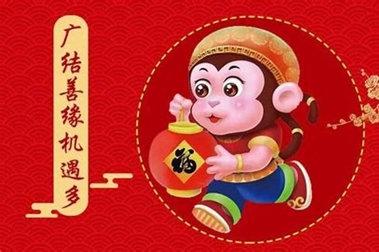 男属兔和什么属相最配相配吗