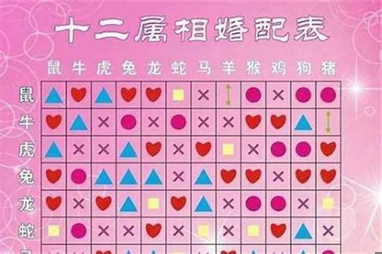 马配什么属相婚配