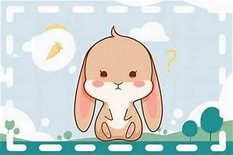 兔宝宝什么月份出生最好