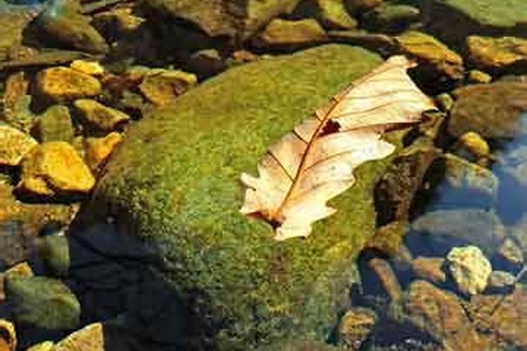 2025年下半年有多少个星期