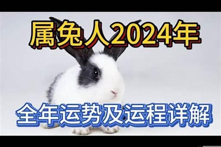 属兔人2018年每月运势及运程