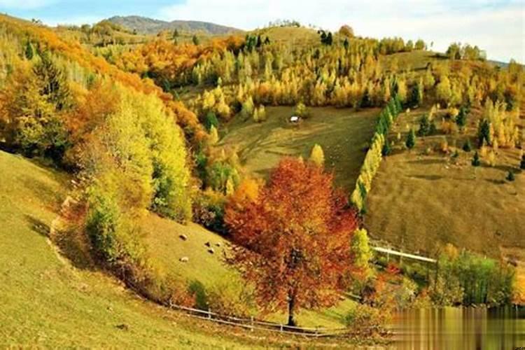 如果一个女人吊着你