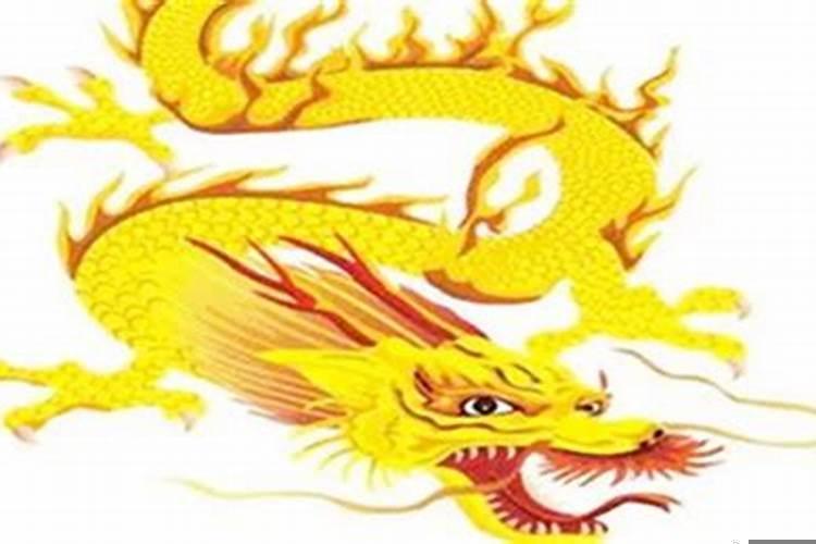 1952年53年属什么生肖