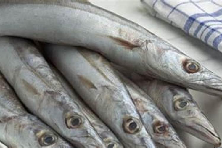 怀孕做梦梦到蛇和鱼什么意思