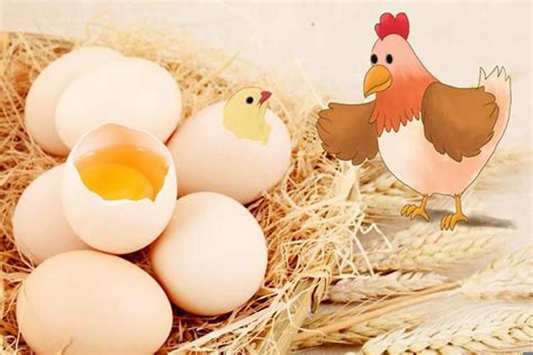 属鸡的父母和属鸡的孩子