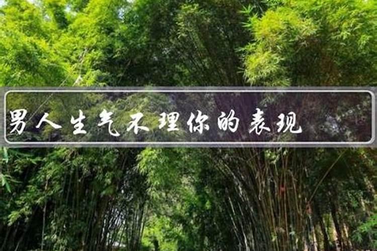 狮子座无理取闹怎么办