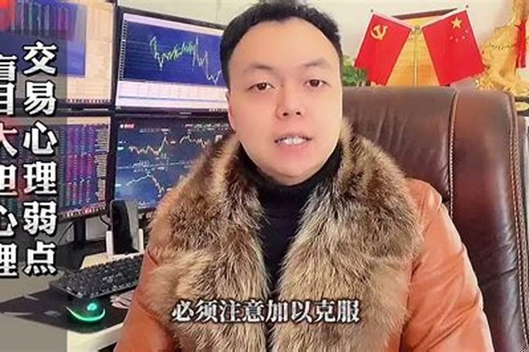 北方的院子咋样布置