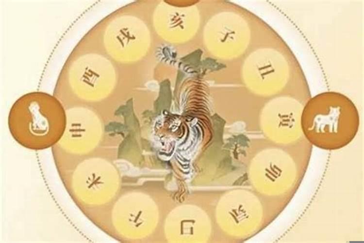 犯太岁有依据吗