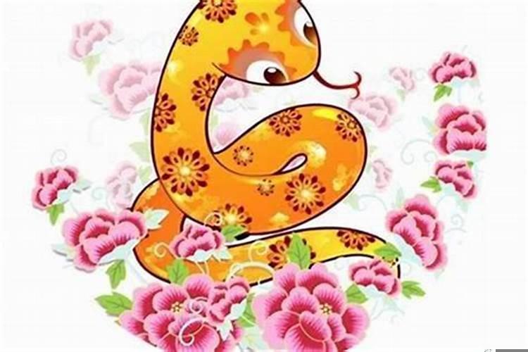 属蛇人对待感情怎么样