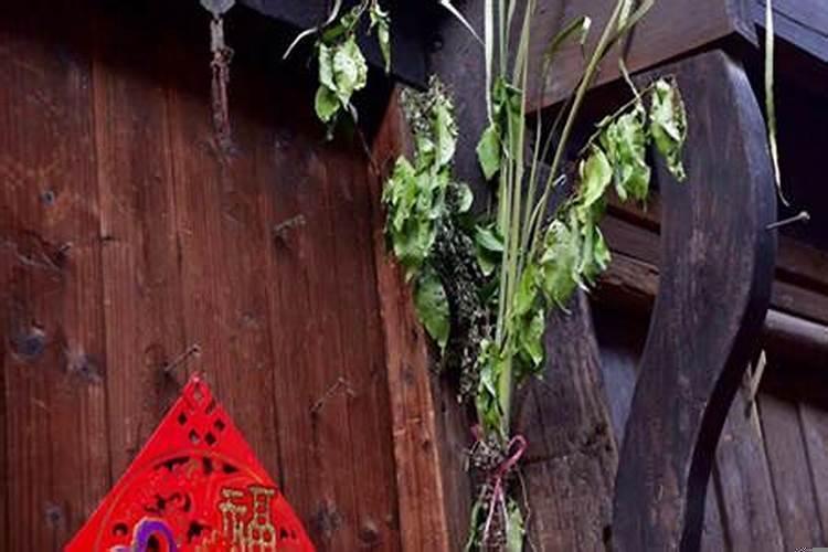艾草挂门口风水十大禁忌