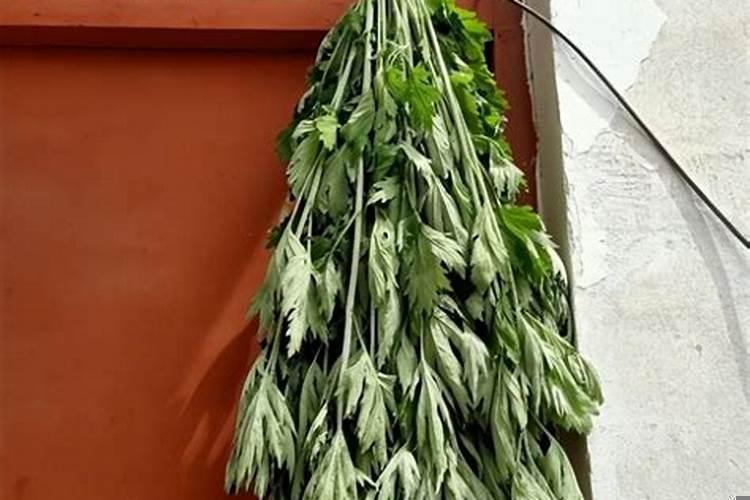 艾草挂门口风水十大禁忌