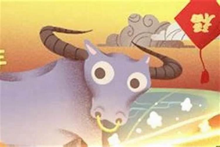 属牛今年本命年多大年龄