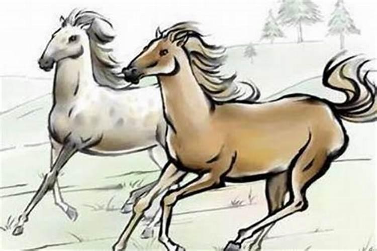 属马的和属什么的不合