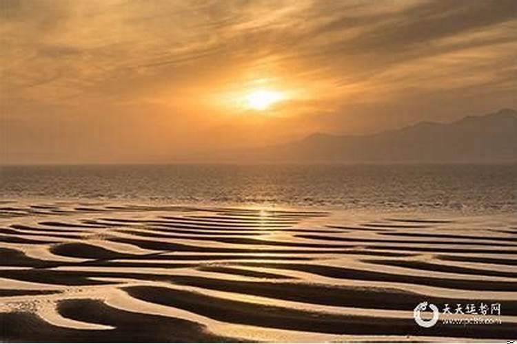 属蛇人对待感情怎么样