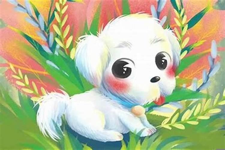 难以成事的生肖