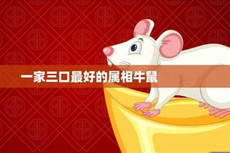 家里四个人属牛