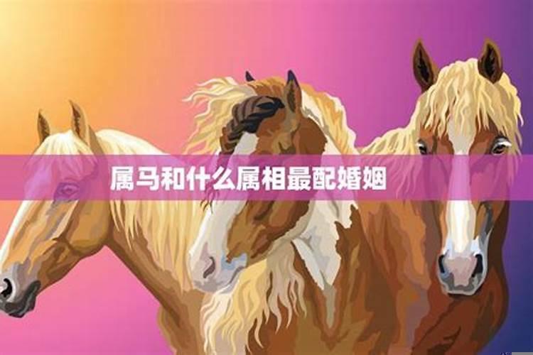 属马适合和什么生肖婚配