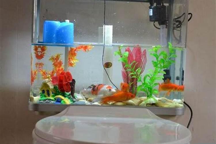 梦见老鼠是什么意思