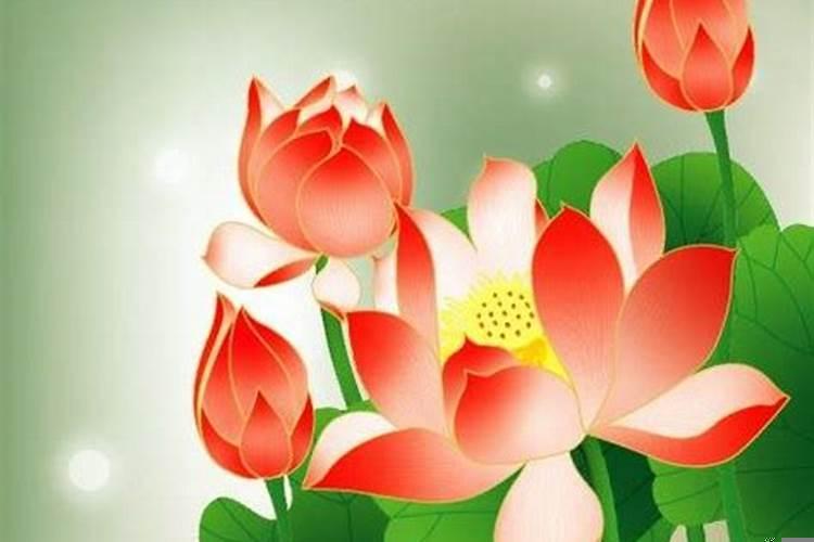 怀孕跟风水格局有关吗