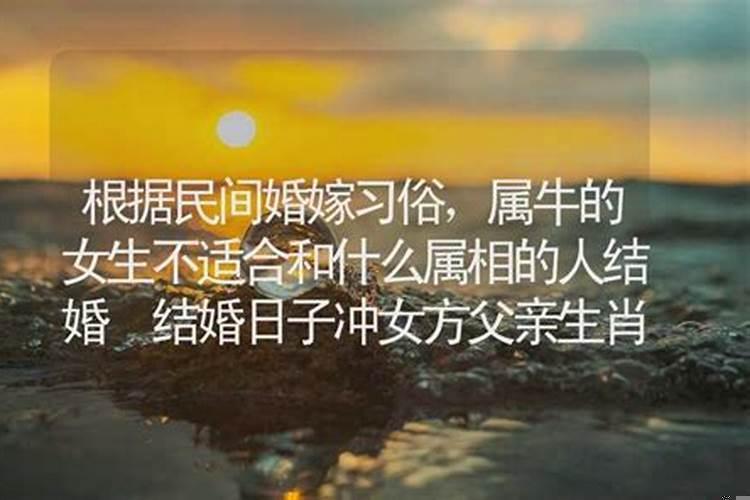 属牛的适合和什么属相结婚