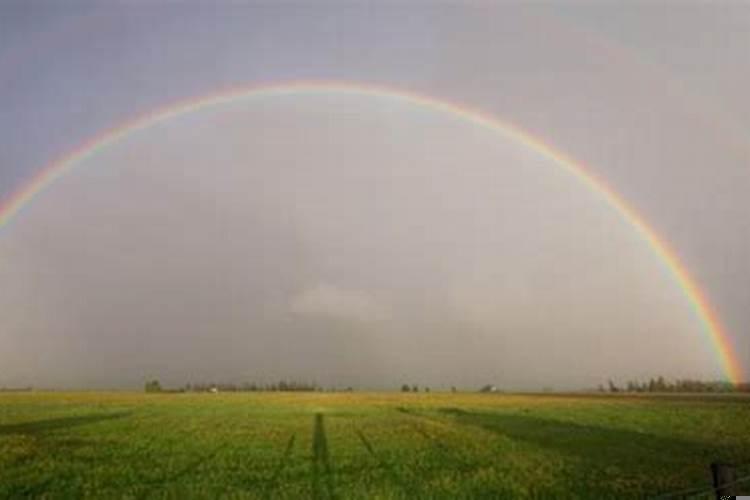 八字十神组合大全