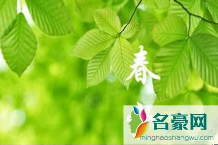 为什么春分上新坟