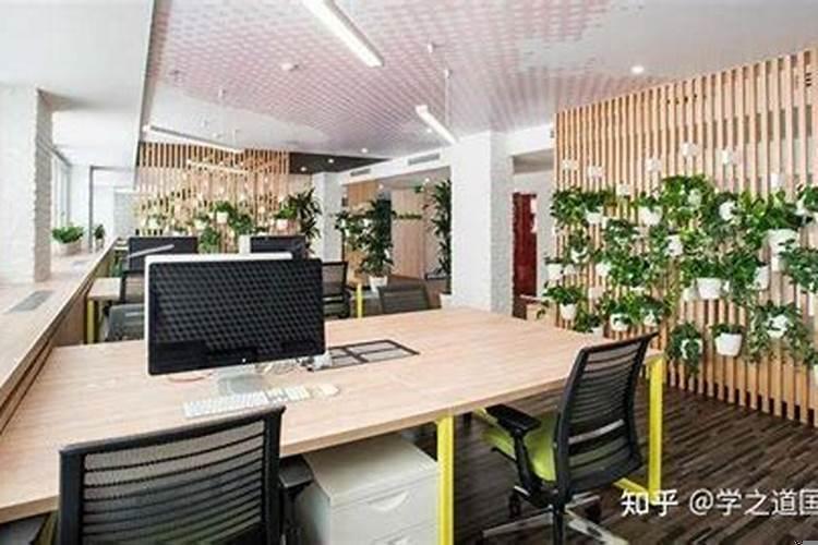 属羊办公室放什么摆件