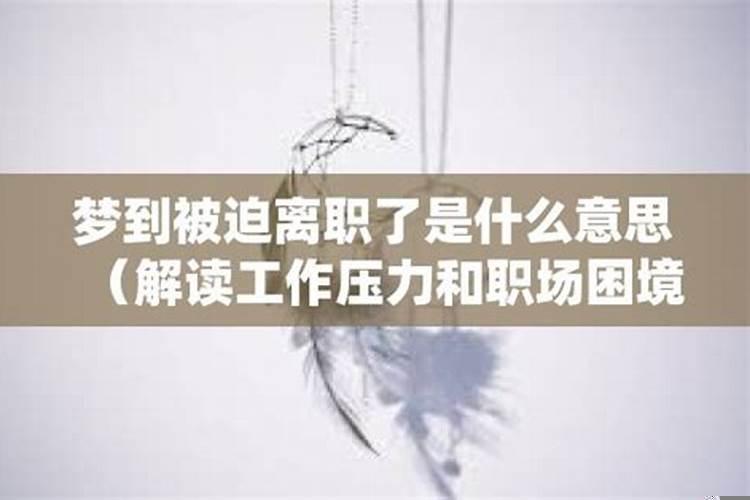梦到离职了是什么意思周公解梦