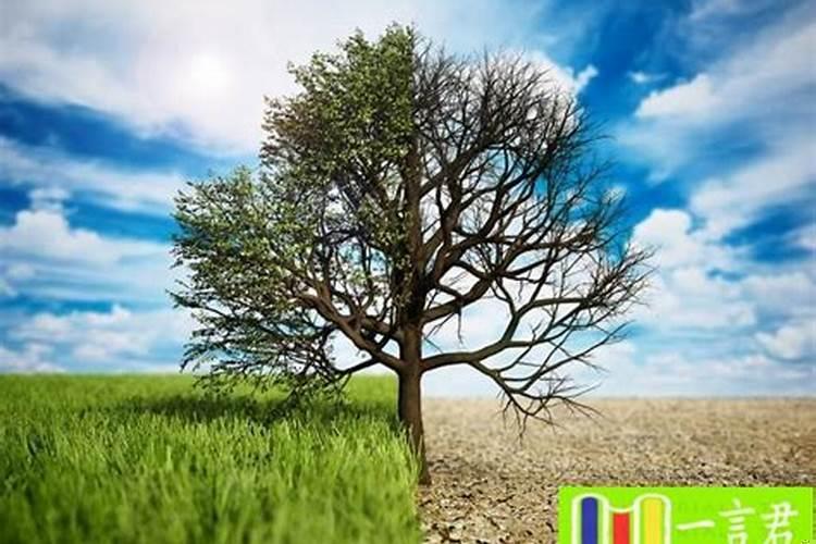 国内著名的寺庙