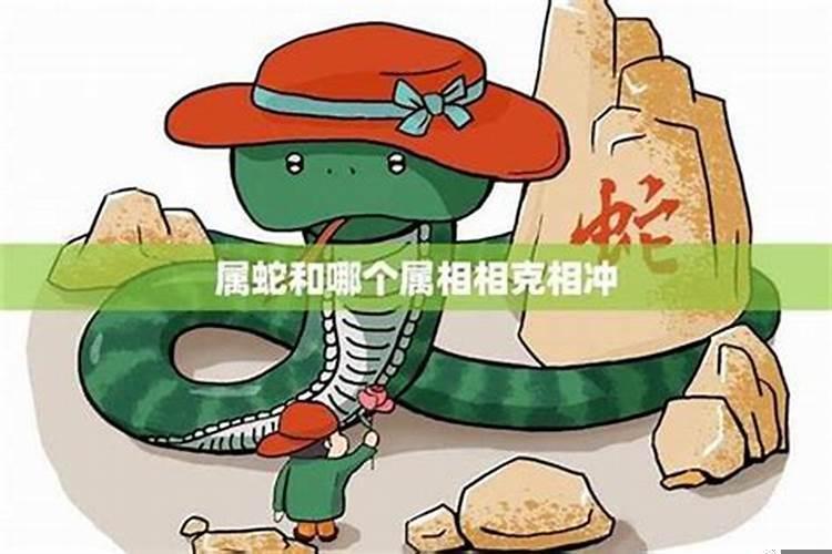 属蛇的和哪些属相相克