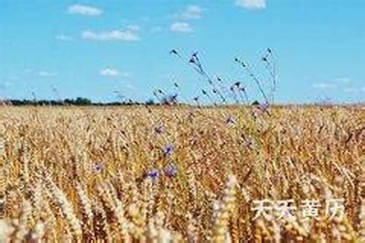 天地开仓日是啥意思