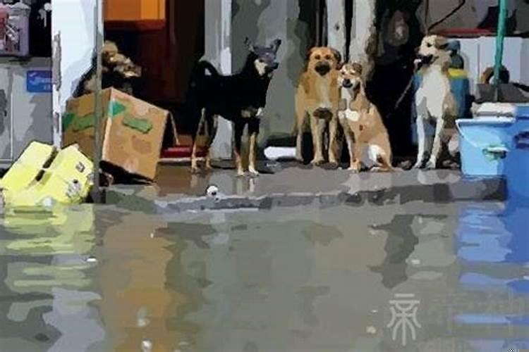 梦见水浸屋是什么意思周公解梦