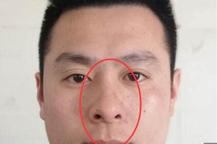 鼻梁低的男人面相