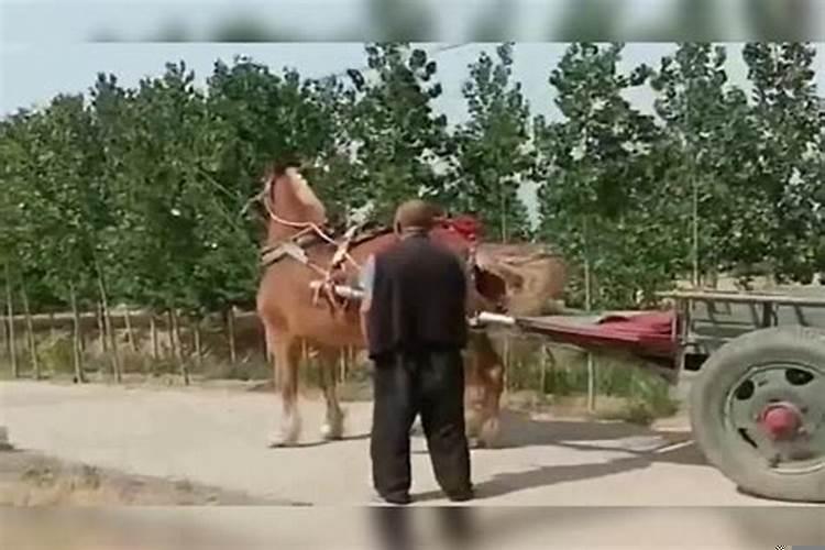 梦见与过世的爷爷说话