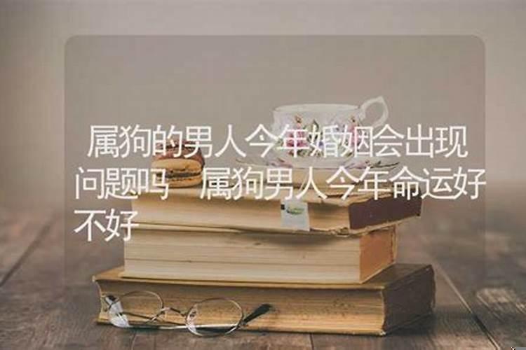 94年属狗和什么属相结合