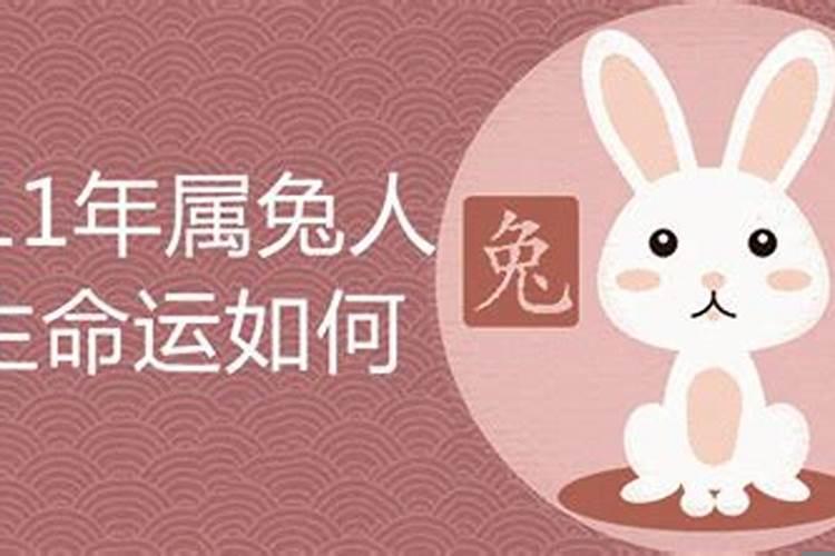 2011年兔年运势
