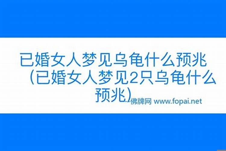 女人梦见两个乌龟好吗