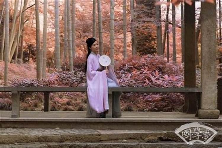 1982年属狗女婚姻命运