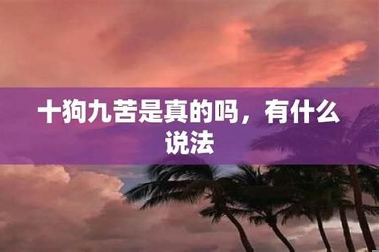 十鼠九富是什么意思