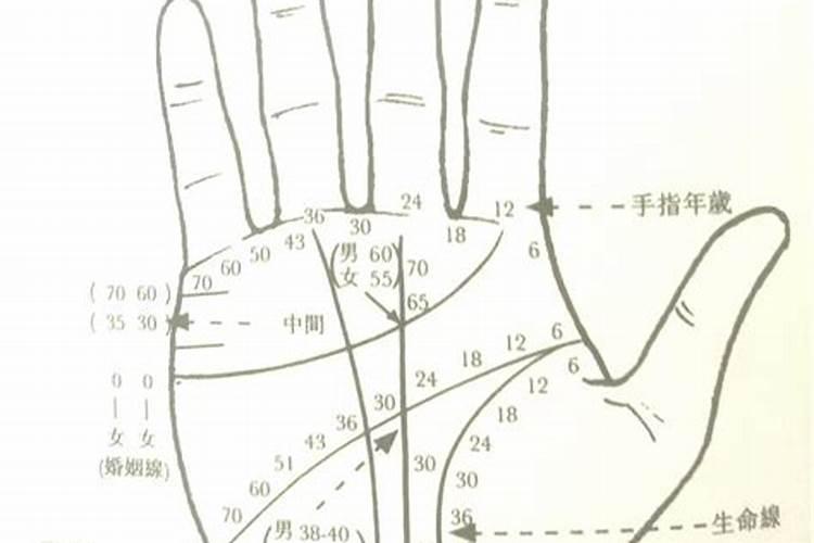旺夫的女人手相的特征