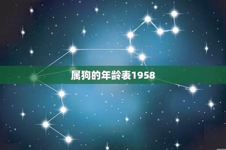1958年属狗的是什么命一生有个坎儿